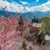2019-雲南風情外觀
